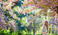 What to Eat to Help with Seasonal Allergies (Hay Fever)