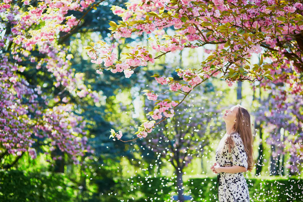Certain foods and compounds, added to your foods might be reduce your allergic responses to hay fever and its associated symptoms. (ShutterStock)