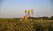US Shale Companies Top Wall Street Estimates, Focus on Returns