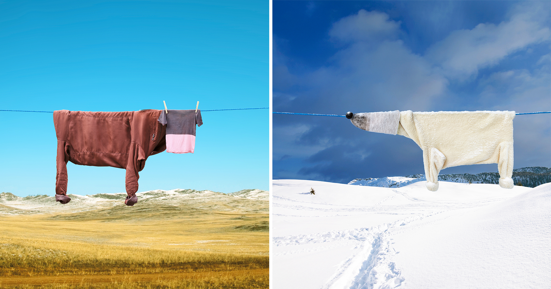Photos Artist Transforms Hanging Laundry and Everyday Items Into Surreal Characters