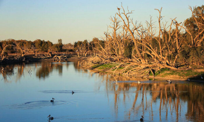 A small patch of water at Lake Wetherell in the Darling River area in Menindee, Australia, on Aug. 14, 2019. (Mark Evans/Getty Images)
