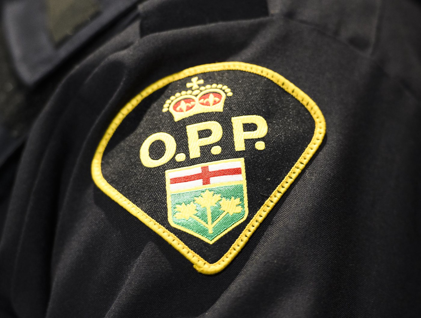Canada-Wide Warrant Issued for 31-Year-Old Male Known to Frequent Toronto - Vimarsana News
