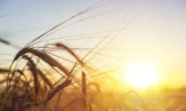 Obeying God Equals Obeying Nature