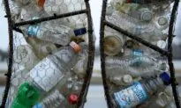 Only About 5 Percent of Plastic Waste Gets Recycled in US, New Report Says