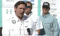 DeSantis Vetoes Everglades Bill Over Concerns of Wetland Destruction