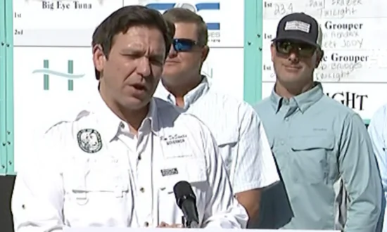 DeSantis Vetoes Everglades Bill Over Concerns of Wetland Destruction