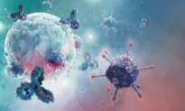 Sugar Is Crucial for Immunity: 2 Kinds Boost Immunity and Help You Live Longer