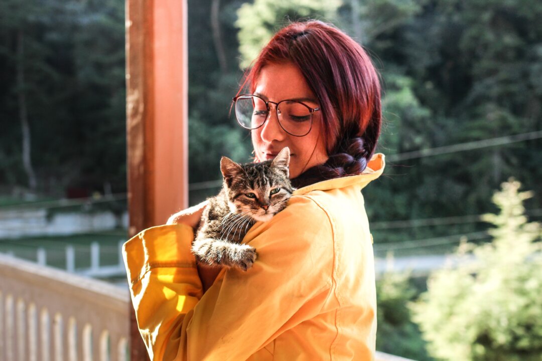 "Anecdotally, we've always been told that cat people are different from dog people, and that most students are not interested in interacting with cats," says Patricia Pendry. "Our results revealed that students are interested in interacting with cats and that this interest may be driven by personality traits." (Mel Elías/Unsplash)