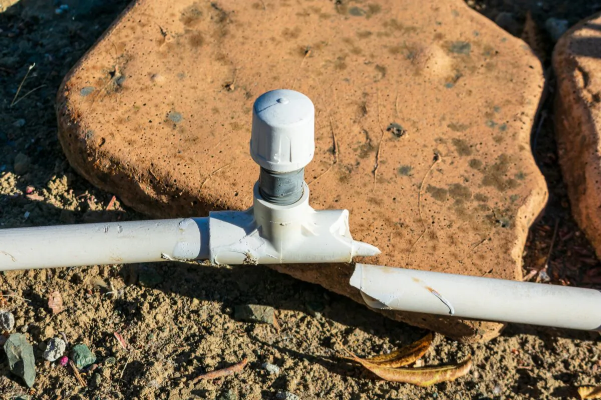 A soggy spot outside is possibly the result of a broken or leaking sprinkler line. (Michael Vi/Dreamstime/TNS)