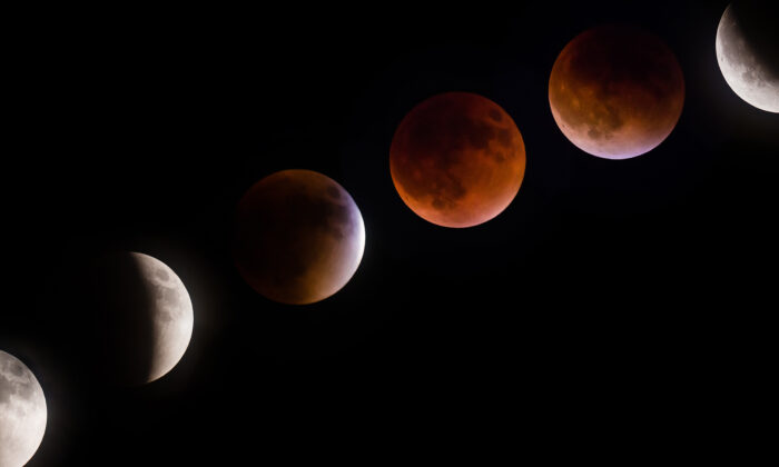 Total Eclipse of the Super Moon to Grace the Heavens Mid-May, 2022—Here's What You Need to Know