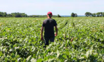 ‘Perfect Storm’ Hitting US Crop Planting Amid Talk of Shortages