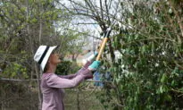 Back Yard Workout for Spring and Summer