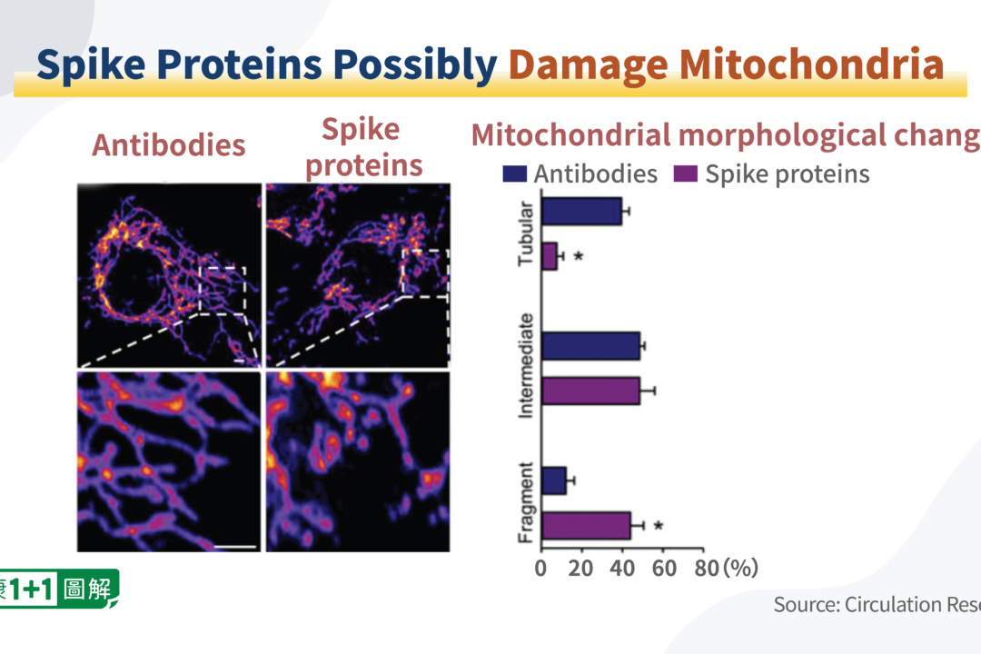 8 Ways Spike Protein Harms the Body and How to Remove It