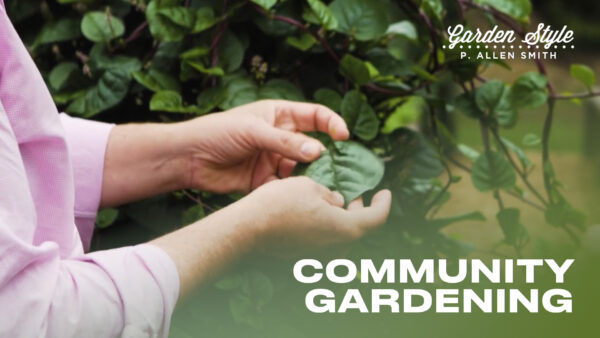 Community Gardening | P. Allen Smith Garden Style