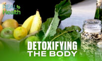 Detoxifying the Body | Real Health