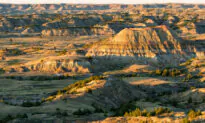 North Dakota State House Declares People Superior to Animals and Inanimate Objects