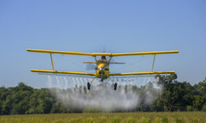 Common Herbicide Could Be Causing Sexual Dysphoria: Robert F. Kennedy Jr.
