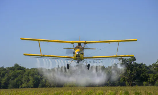 Common Herbicide Could Be Causing Sexual Dysphoria: Robert F. Kennedy Jr.