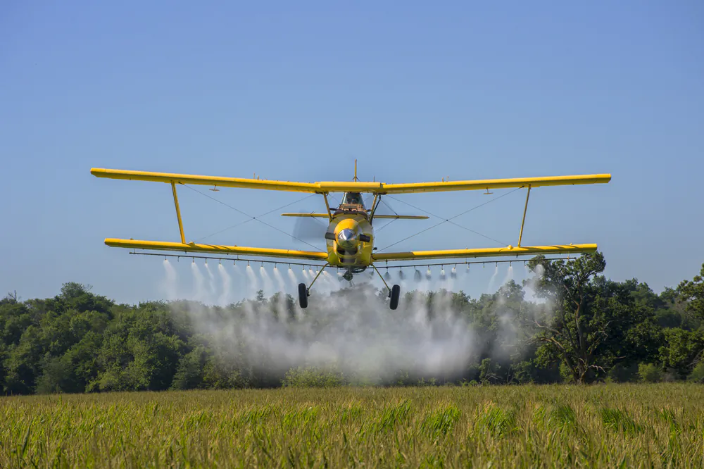 Commonly used herbicide atrazine has been linked to demasculinization and forced feminization in frogs, raising concerns about exposure in humans. (ShutterStock)