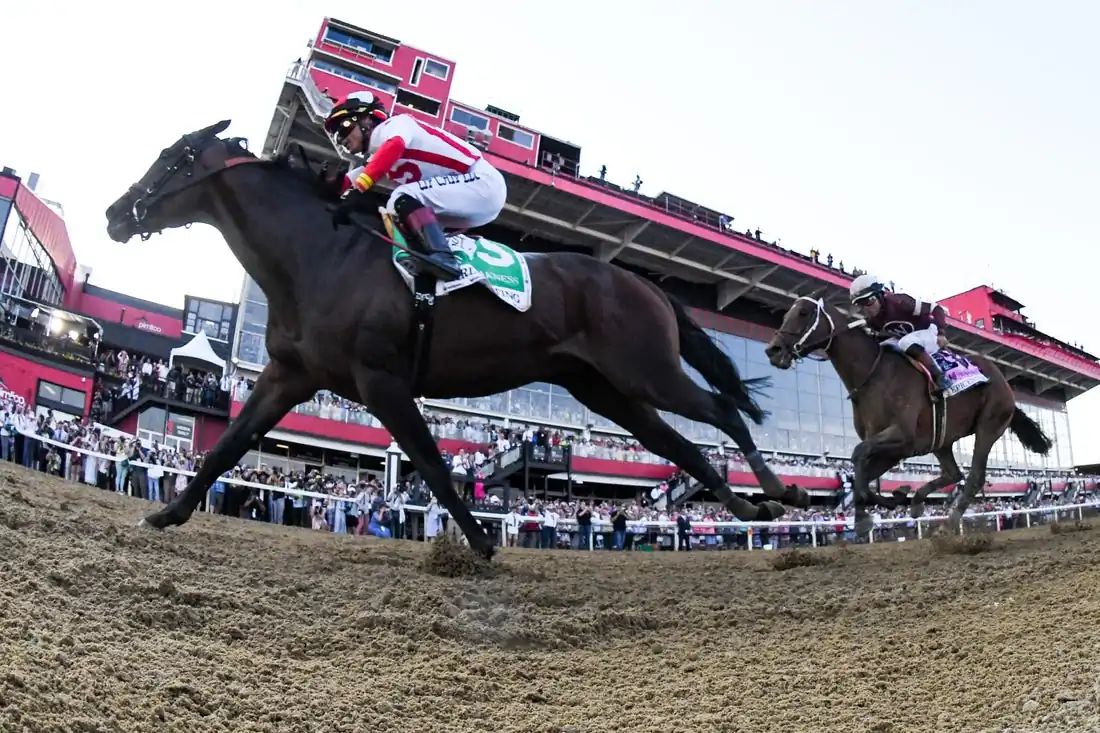 Jose L Ortiz aboard Early Voting wins the running of the 147th Preakness Stakes at Pimlico Race Course, in Baltimore on May 21, 2022. (Tommy Gilligan/USA TODAY Sports via Field Level Media)