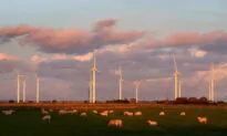 Analysts Welcome Labour’s Onshore Wind Planning Reform But Question Prices Claim