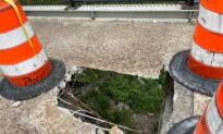Fan Falls Through Detroit Footbridge on Way to Tigers Game