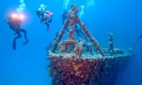 20 Years Since Navy Ship Sunk for Artificial Reef in Keys