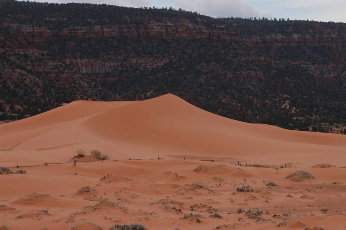 Coral Pink Sand Dunes state park near Kanab, Utah in this undated photo. (The Salt Lake Tribune via AP)