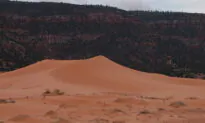 Boy Dies After Being Buried Under Sand Dune at State Park