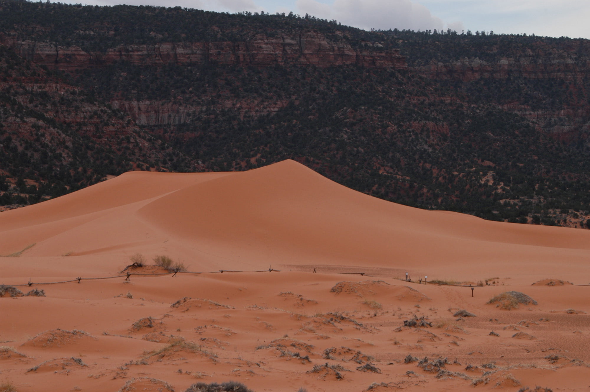 Boy Dies After Being Buried Under Sand Dune at State Park - Vimarsana News