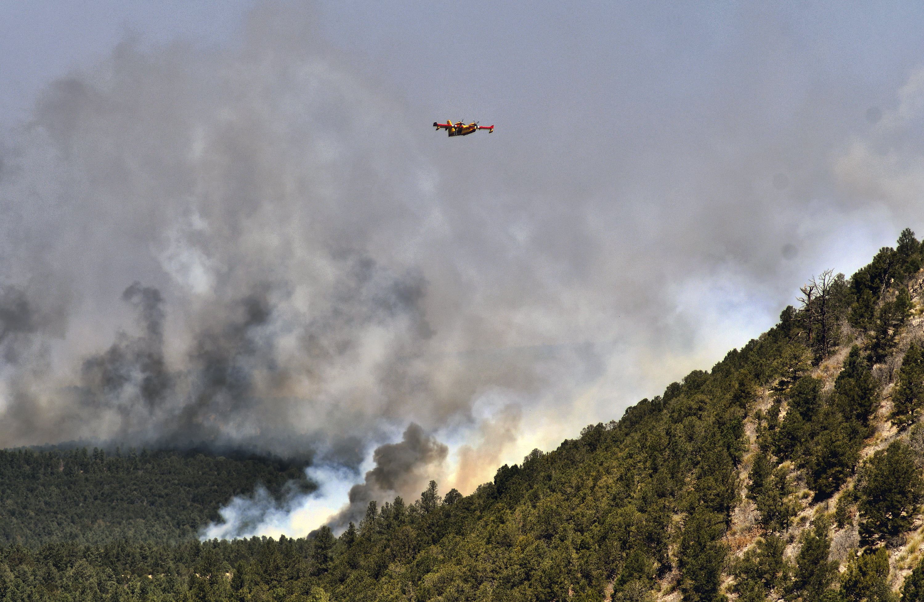 Biden Declares Disaster in New Mexico Wildfire Zone - Vimarsana News