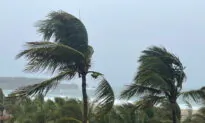 Storm Agatha Kills 3 in Southern Mexico; Heavy Rainfall to Continue