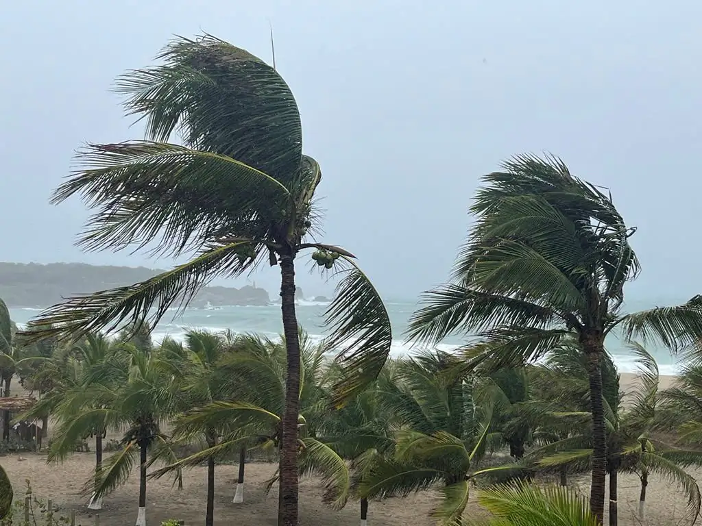 Palm trees sway in the wind as Hurricane Agatha pounds the southern coast of Mexico, in Puerto Escondido, Oaxaca state, Mexico, on May 30, 2022. (Jose de Jesus Cortes/Reuters)