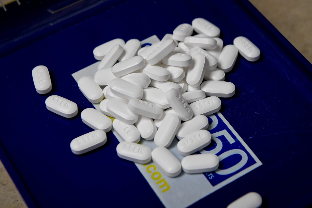 NextImg:Doctors Call on NSW Government to Act on Drug Law Reform
