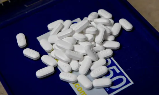 Doctors Call on NSW Government to Act on Drug Law Reform