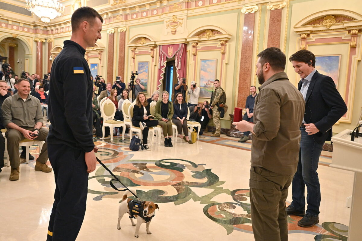 Canadian Prime Minister Justin Trudeau and Ukraine's President Volodymyr Zelenskiy award service dog "Patron"