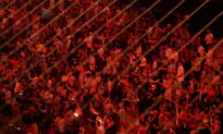 Italy Prevents Pro-Russian Hacker Attacks During Eurovision Contest