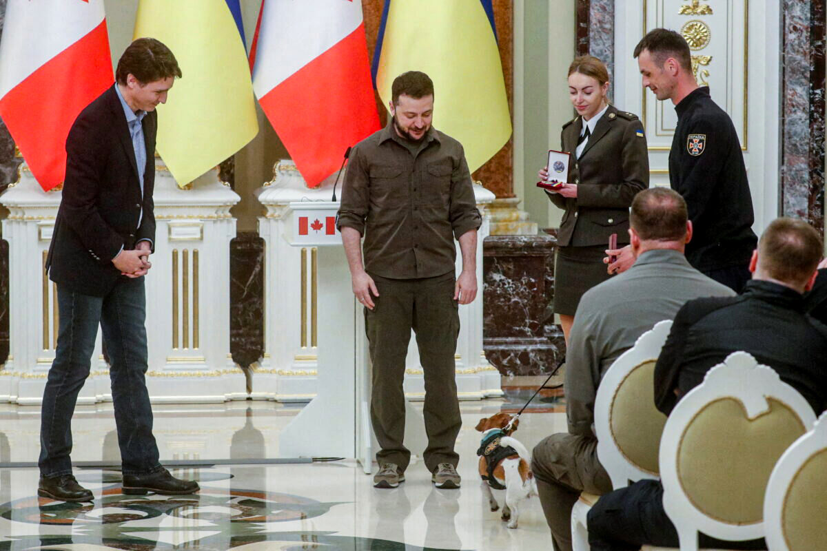 Canadian Prime Minister Justin Trudeau and Ukraine's President Volodymyr Zelenskiy award service dog "Patron" during a news conference, as Russia's attack on Ukraine continues, in Kyiv, Ukraine, on May 8, 2022. (Valentyn Ogirenko/Reuters)