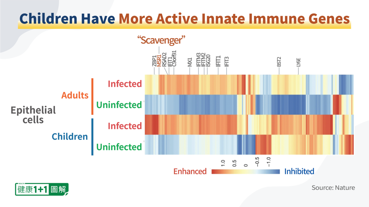 Without Vaccines, Children Have the Strongest Immunity to COVID-19