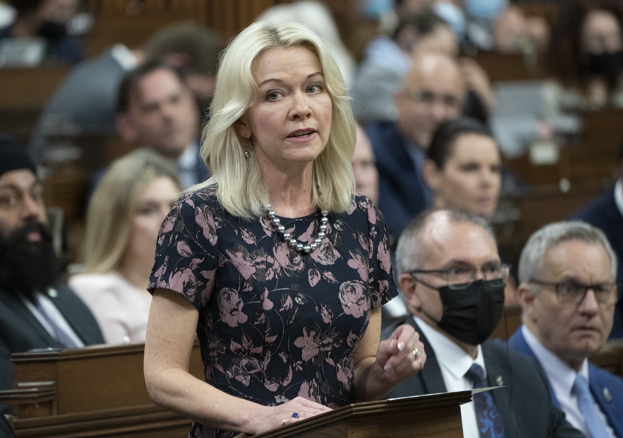 Cost of Living Top Concern for Canadians Amid Competing Issues, Says Tory Leader Bergen - Vimarsana News