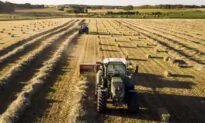 Increased Input Costs for Farmers Mean Higher Food Prices Could Follow