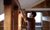 The Basic Tools Every Homeowner Should Have