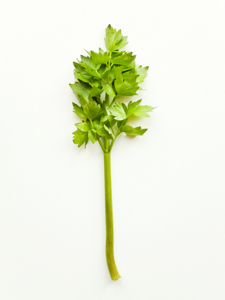 Fresh,Lovage,Celery,Stems,With,Leaves,On,White,Wooden,Background.
