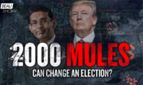 Can 2000 Mules Change an Election?