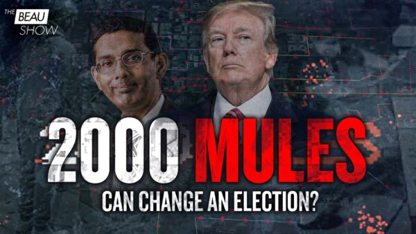 2000 Mules Source to ‘Pull the Ripcord’ on Election Data; Trevor Loudon Exposes Socialist Groups Behind Mass Voting Drives