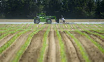 Canadians Express Strong Concerns Over Pesticides, Call for Tighter Controls: Report