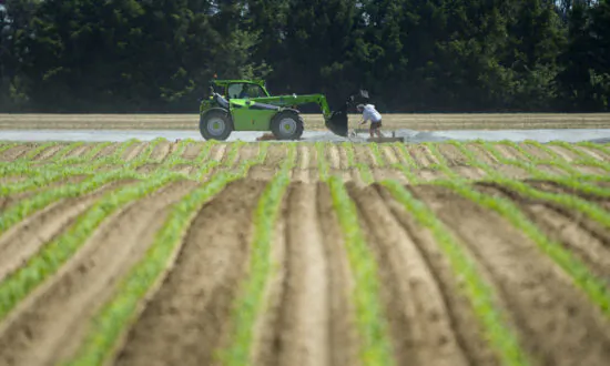 Canadians Express Strong Concerns Over Pesticides, Call for Tighter Controls: Report