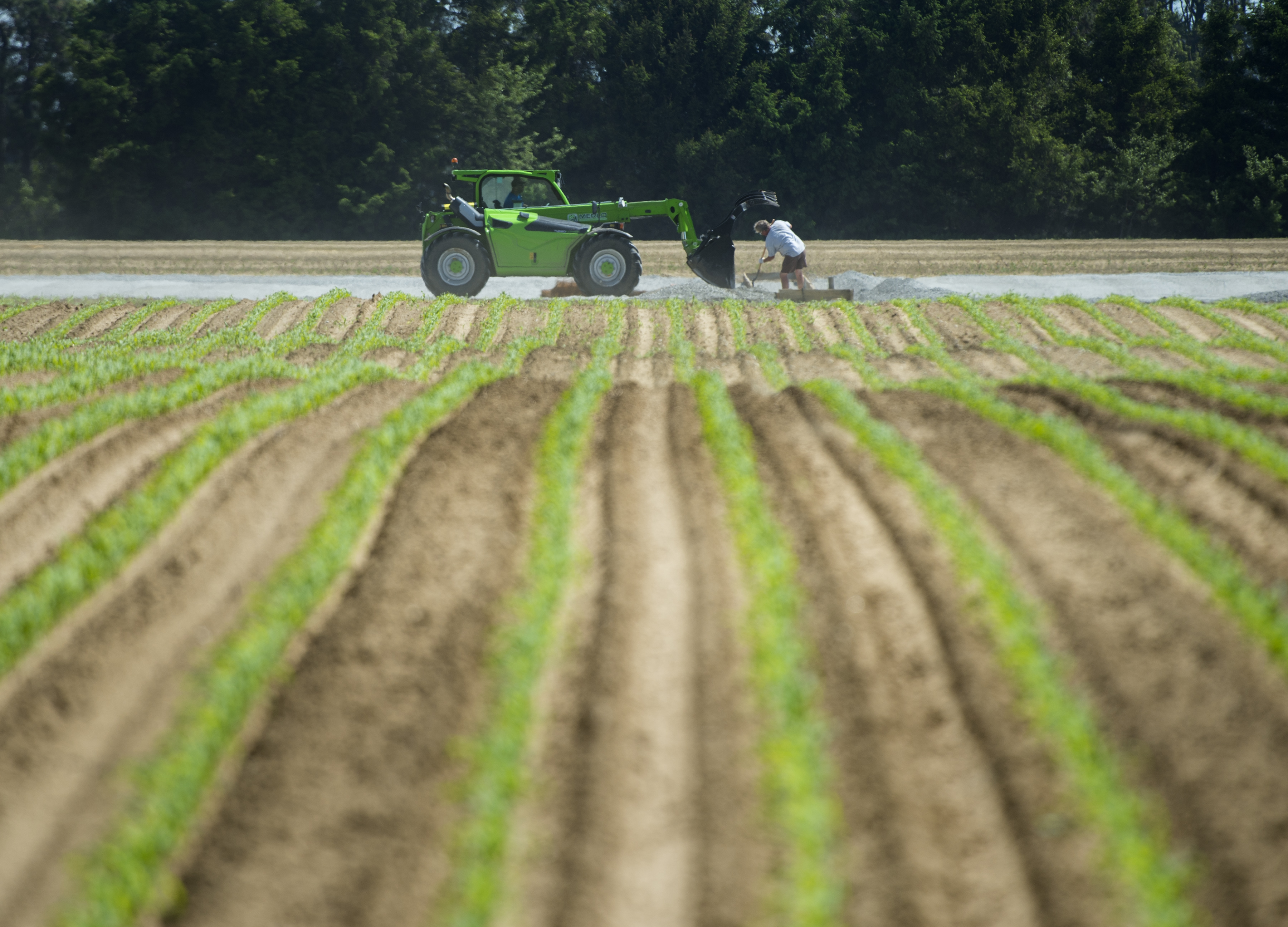 Canada Approves Millions in Temporary Interest Rate Relief for Farmers as Inflation Hedge - Vimarsana News