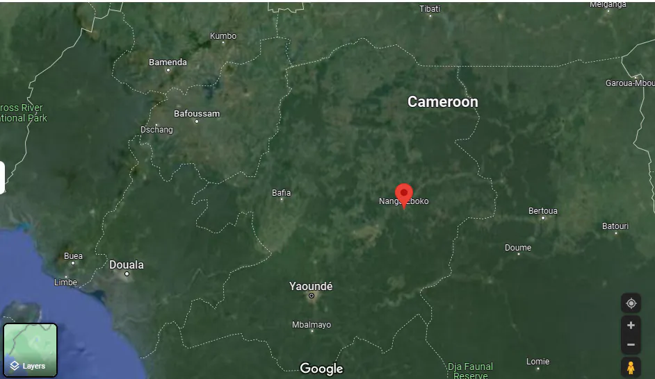 (Google Map)