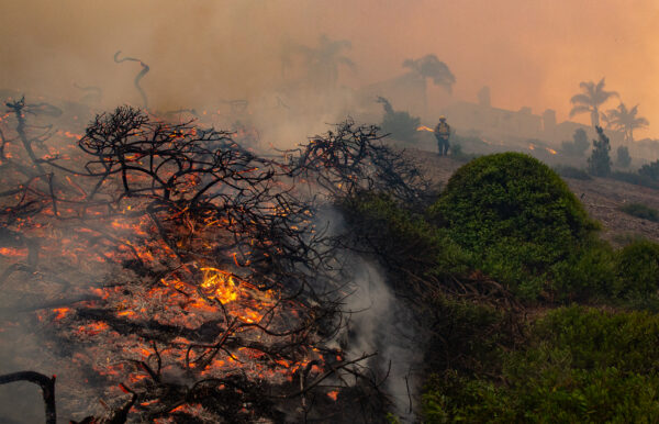 Epoch Times Photo